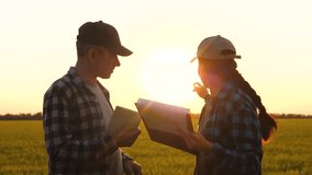 farmers cooperation. farmers wheat in field work discussion collaboration. farm with tablet and documents. teamwork in Agriculture - Powered by Shutterstock - Get 15% off with code: PIKWIZARD15