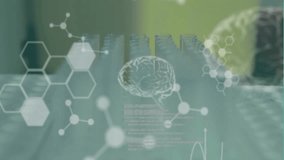 Animation of data processing with brains and molecules over empty vials in lab. Global science, medicine, computing and digital interface concept digitally generated video. - Powered by Shutterstock - Get 15% off with code: PIKWIZARD15
