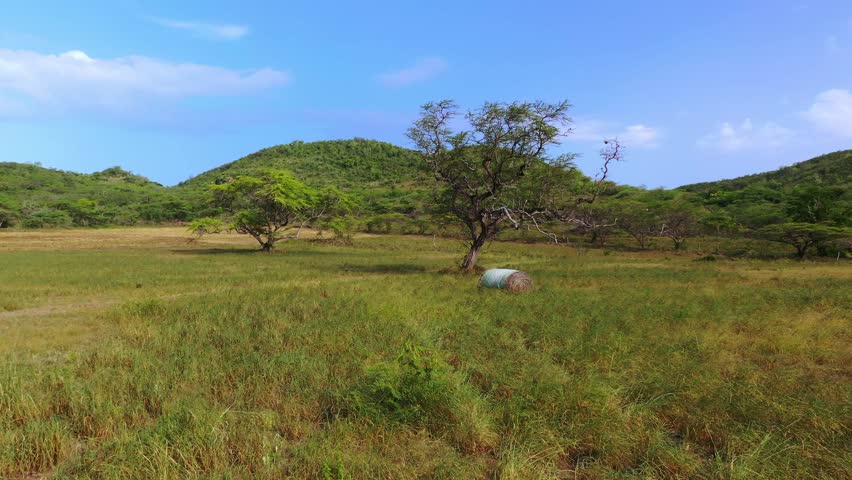 A drone footage of hay bale and trees in vast grassy field with green hills under blue sky in the background on a sunny day