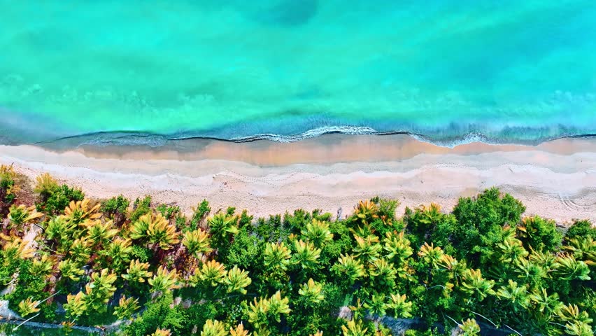 Picturesque Maldives beach paradise island. Tropical landscape of sunny summer coast with sea sand and palm trees on the ocean background. Luxury travel and vacation. Exotic beach landscape.
