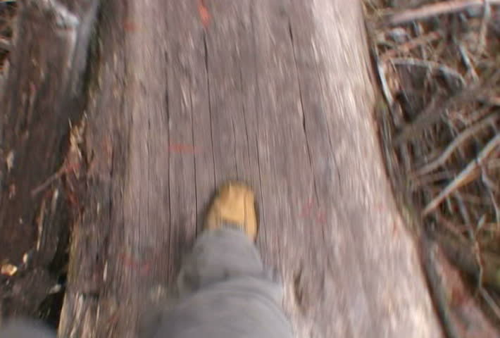 Walking on Logs in Forest Point of View.