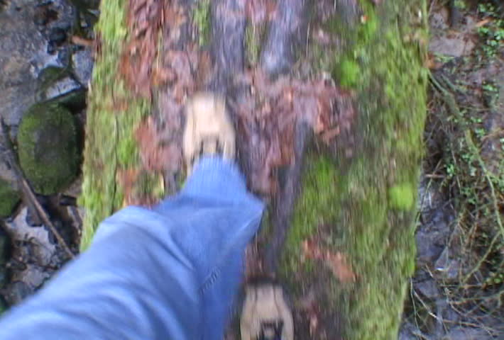 Walking on Logs in Forest over River Point of View.