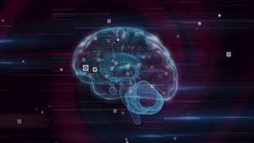 Animation of data processing over digital brain on black background. Global medicine, science, computing and digital interface concept digitally generated video. - Powered by Shutterstock - Get 15% off with code: PIKWIZARD15