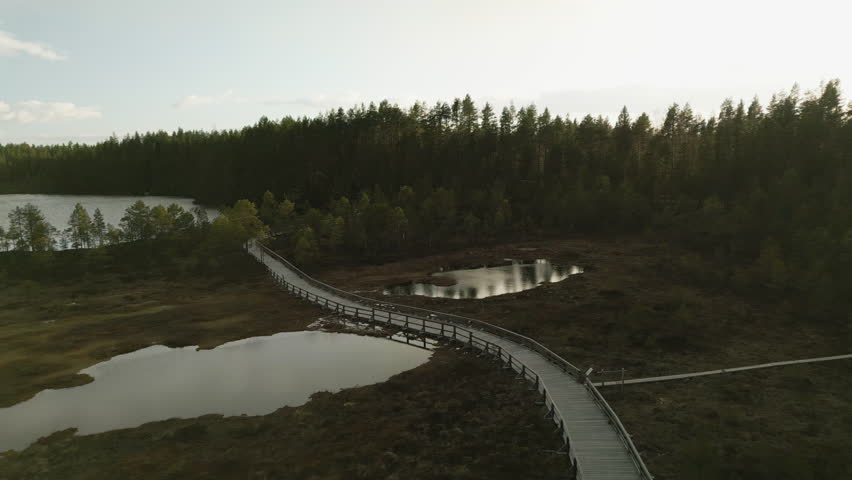 Aerial view flying backwards over a wooden walkway in middle of forest and swamp
