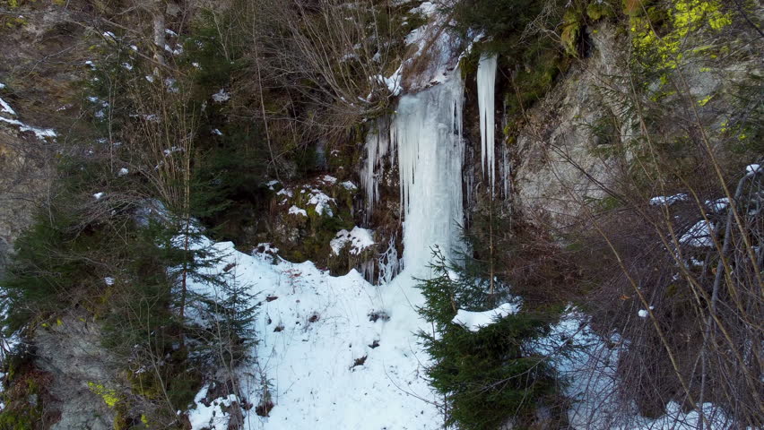 A drone view over a frozen waterfall between trees growing on a snowy hill