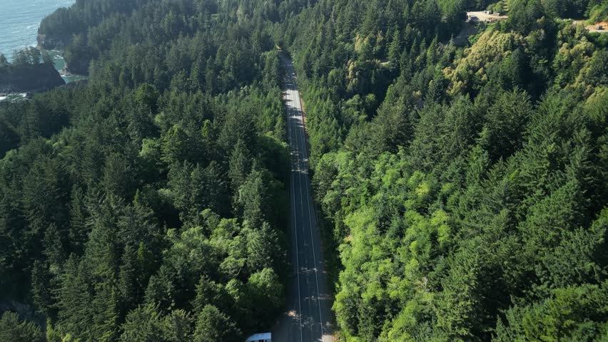 An aerial video of the the road surrounded by the forest full of fir trees