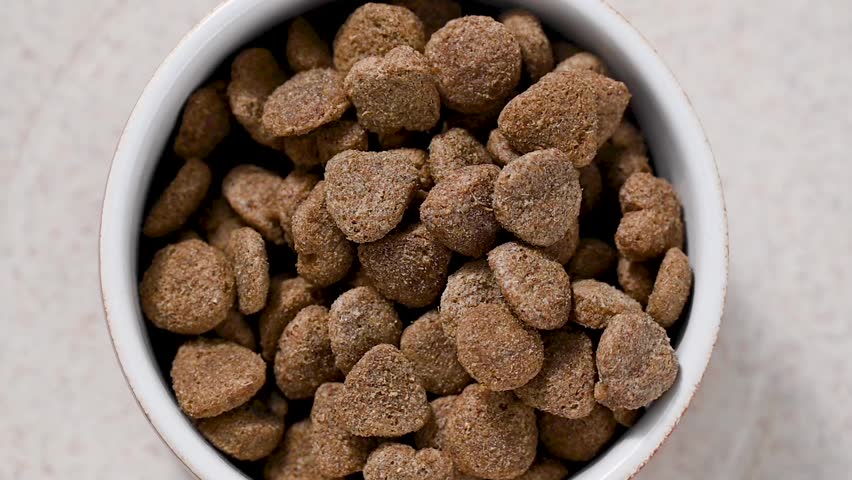 Pet food. Dry cat food. Nutrition for pets, top view.