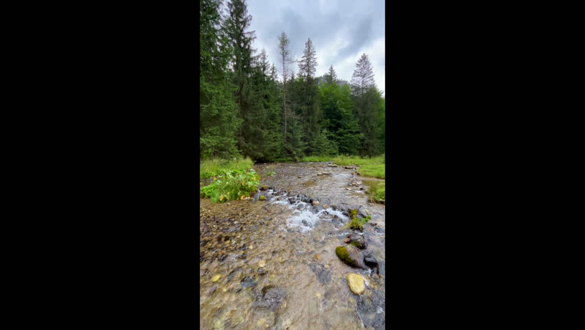 Tatra Mountain National Park Zakopane Poland. Mountain River Near Tourist Hiking Trail River. 