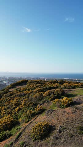 A vertical drone footage of a couple standing on the Arthur
