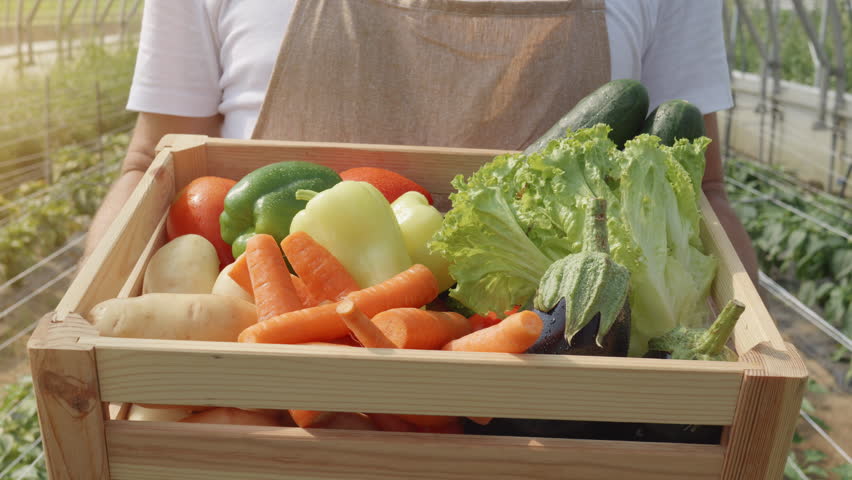 Man holding fresh organic vegetable container close up. Greenhouse male worker with carrots, bell peppers and potatoes veggies harvest in wooden box close view
