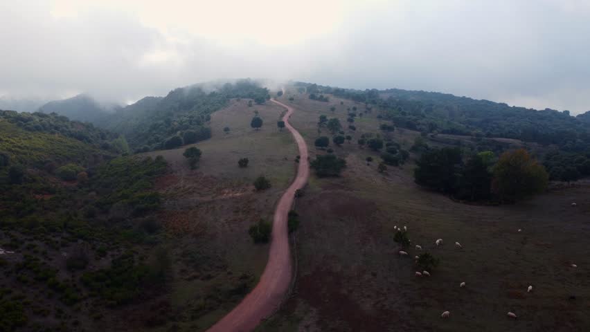 A long hiking trail up hills in the Montseny Mountain Range