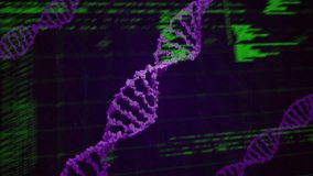 Animation of data processing over dna strands. Technology, science and digital interface concept digitally generated video. - Powered by Shutterstock - Get 15% off with code: PIKWIZARD15