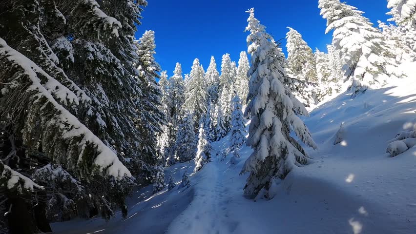 The beauty of Cozia National Park in Romania during winter
