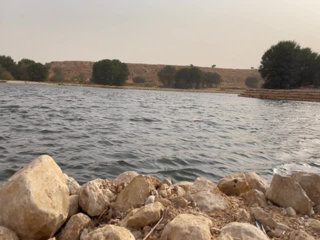 A scenic view of a rocky shore of a lake against green trees on a gloomy day