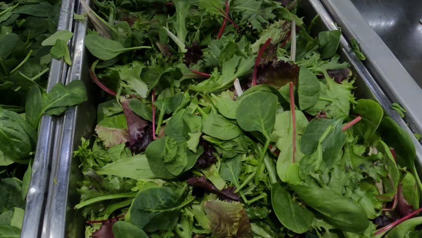 Greens in Buffet Restaurant, Different Types of Green Salads, Healthy Food, Close Up