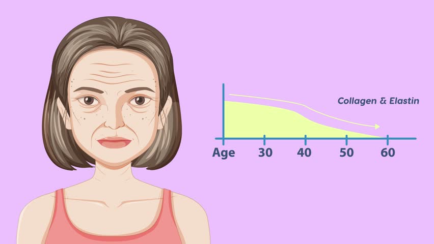 Visual representation of skin aging process