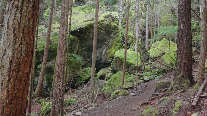 A wild landscape in Mount Little Si, North Bend, Washington, USA
