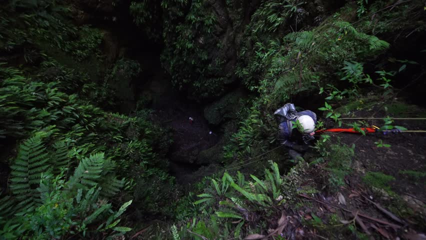 Caver abseiling in to moss lined sink hole in southern tasmania.