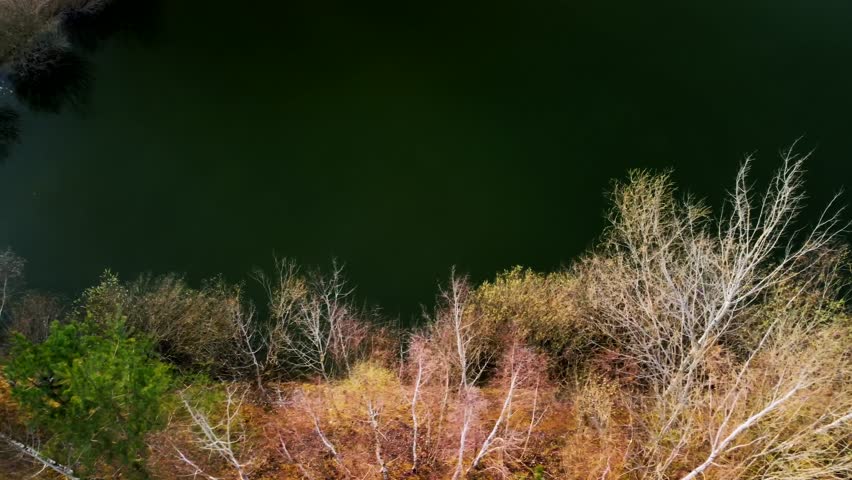 An aerial view of a beautiful green sea
