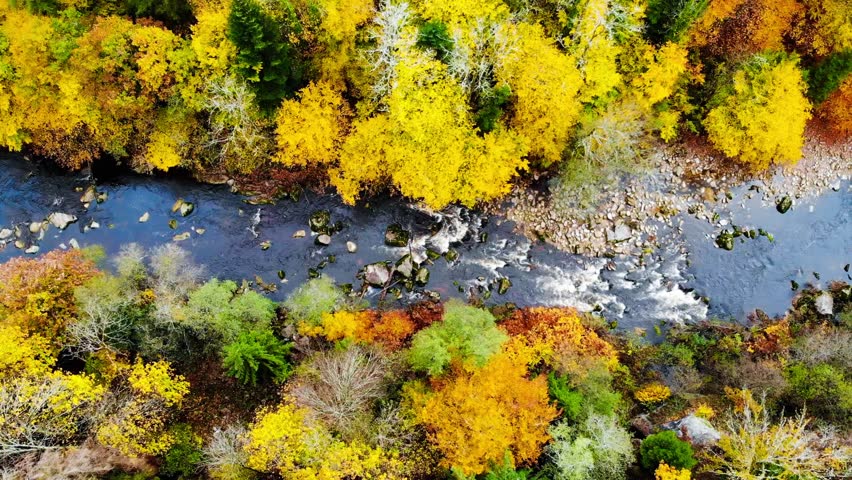A mesmerizing shot of a mountainous landscape with a river covered with colorful trees in autumn