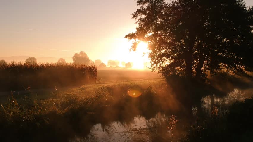 A small lake in the meadow during golden hour