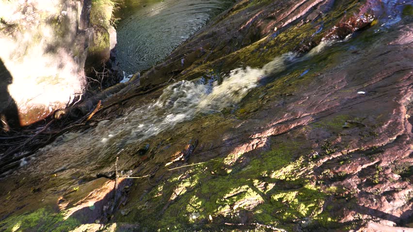 Danska Fall is a large nature reserve in Sweden. There is a 36 metre drop from the top of the falls to the rivers mouth.