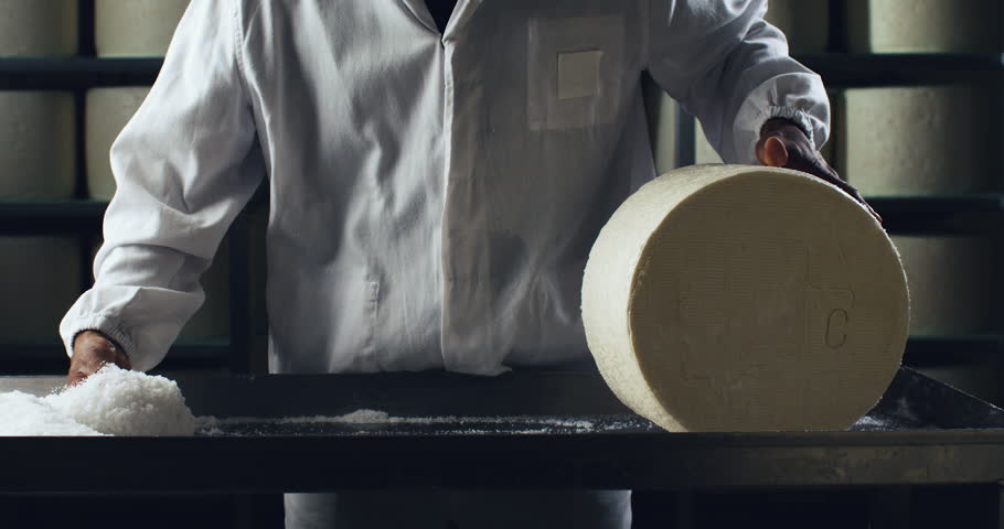 Super slow motion close up of artisan cheesemaker adding salt to fresh made of bio eco milk traditional gorgonzola cheese during making process at cheese production creamery dairy factory at 1000 fps.