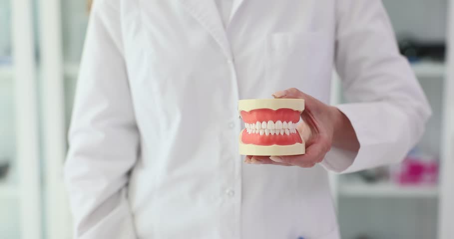 Dentist holds jaw model showing thumbs up in hospital. Woman doctor indicates satisfaction with demonstration patient progress in clinic