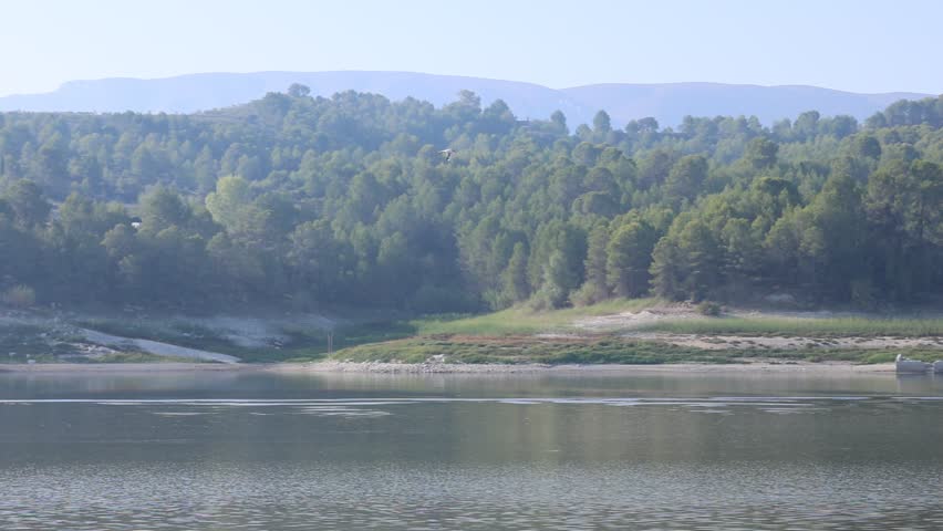 Mediterranean Gull Ichthyaetus melanocephalus flying over the landscape of the Beniarrés swamp, Spain