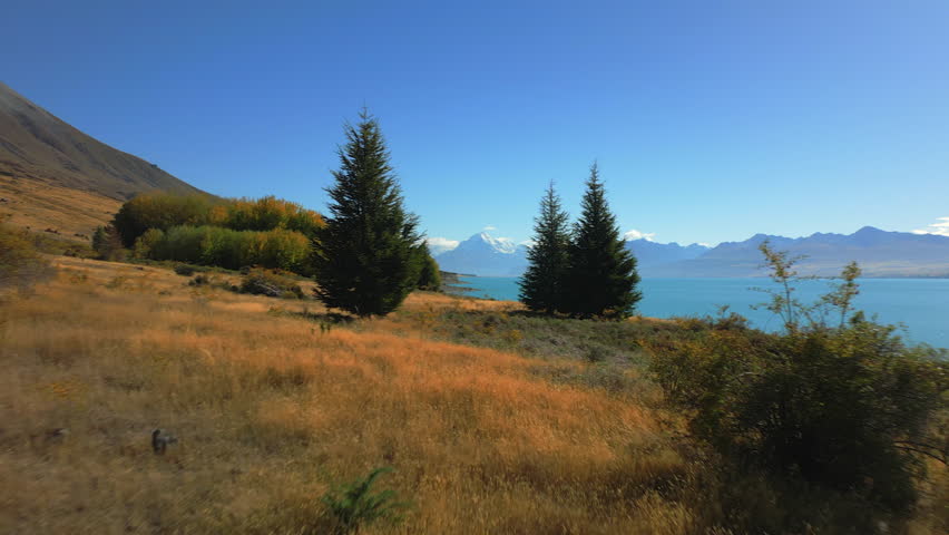 Mount Cook, Aoraki through the trees and across the glacial Lake Pukaki