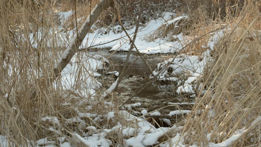 The stream of the river water through the rocks and grass.