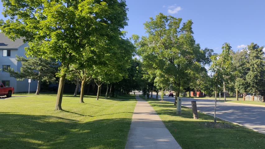 sunny pathway along with long trees, beautiful summer day ,walking, running, cycling