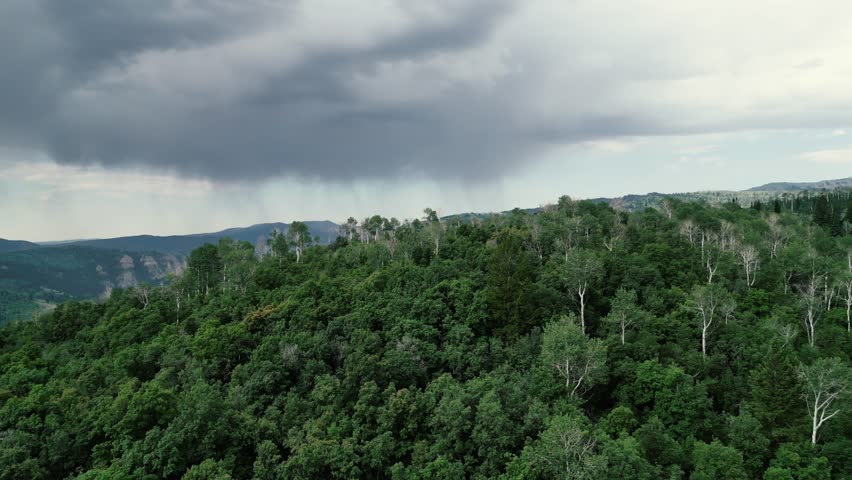 Rain clouds in the Wasatch Range aerial summer forest landscape