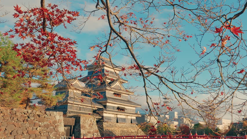 Matsumoto Castle or Crow Castle in Autumn, is one of Japanese premier historic castles in easthern Honshu. Landmark and popular for tourists attraction in Matsumoto city, Nagano Prefecture, Japan