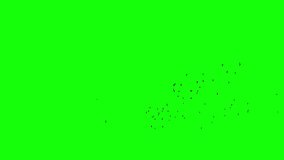 A flock of black birds flying freely from right corner, a group of pigeons chroma key green screen. Silhouettes of Migrating Birds in motion far in the sky. Sparrows or Swallows. For compositing VFX - Powered by Shutterstock - Get 15% off with code: PIKWIZARD15