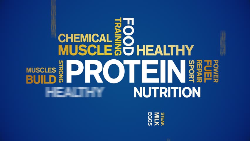 Protein animated word cloud,text design animation tag kinetic typography seamless loop. 