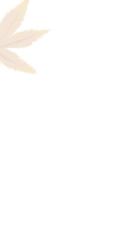 Vertical video, animation hello autumn, leaves flying