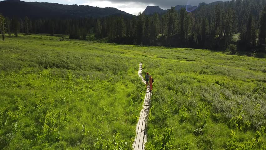 Male tourist with backpack walking through forest on footpath with mounting landscape. High quality 4k footage
