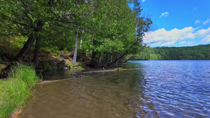 Picturesque wilderness off road lake surrounded by dense pine forests, remote dangerous routs. Summer calm water. Wild natural lake in Ontario, Canada, Crown land remote wilderness.