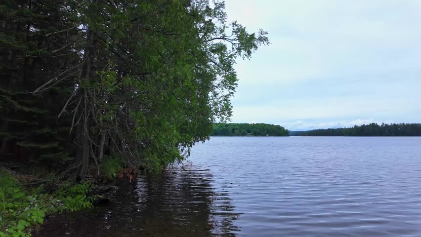 Picturesque panoramic view of Paudash Lake calm water and pine trees. Big lake landscape and nature background. Water natural reservoir in Ontario, Canada, travel destination.