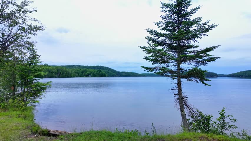 Paudash Lake calm water and pine trees in the area of Bancroft, Kawartha Highlands and Cardiff, Ontario, Canada. Big lake landscape and nature background. Travel destination.