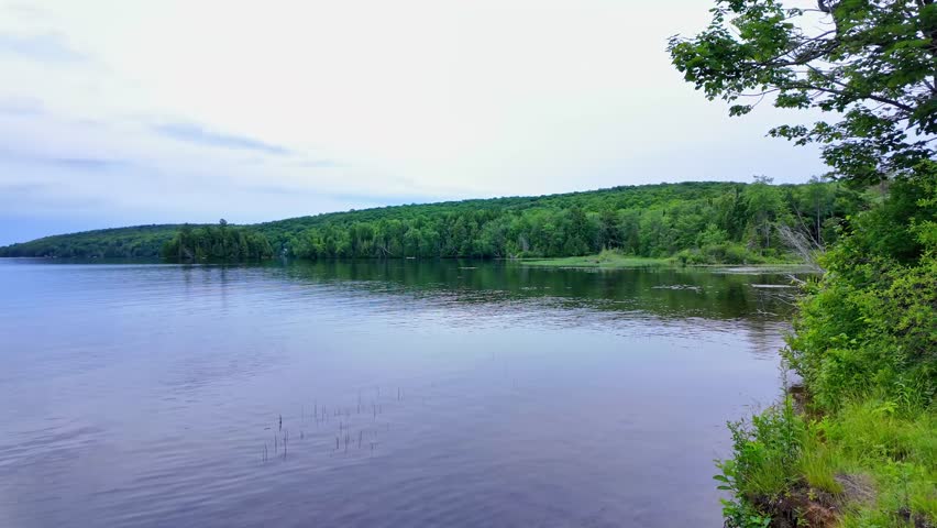 Paudash Lake calm water and pine trees in the area of Bancroft, Kawartha Highlands and Cardiff, Ontario, Canada. Big lake landscape and nature background. Travel destination.