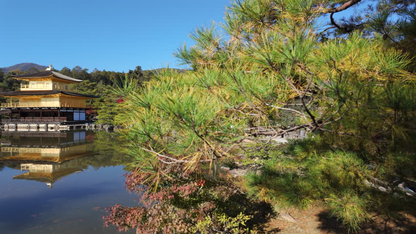 Panning shot showing the famous Kinkaku-ji temple, aka the Temple of the Golden Pavilion, a historic Zen Buddhist temple in Kyoto, Japan.