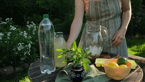 Making homemade lemonade, summer citrus drink. Woman pouring lemon juice into jug outdoors. - Powered by Shutterstock - Get 15% off with code: PIKWIZARD15