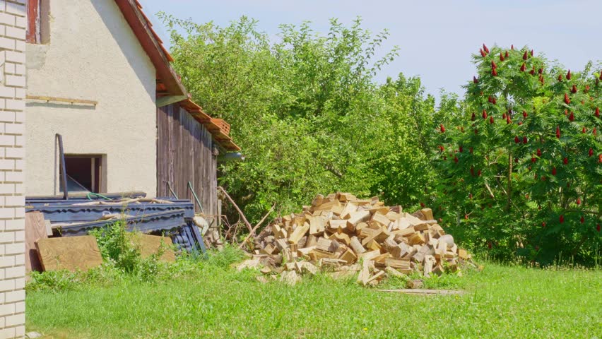A pile of chopped firewood slovenian countryside green trees grass no people abandoned farm house Slovenia country unpolluted clean blue sky clear wood static no motion day calm peaceful slow life 