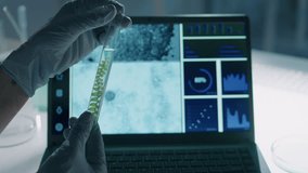Close-up of hands of anonymous female biologist in gloves studying test tube with strand of green algae in chemical solution against computer screen, while performing experiment in science laboratory - Powered by Shutterstock - Get 15% off with code: PIKWIZARD15