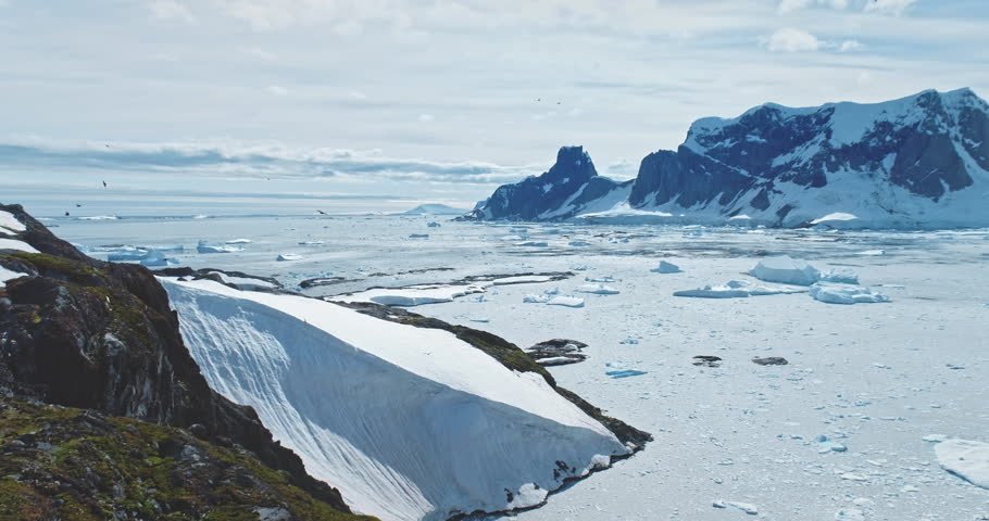 Majestic winter Antarctic aerial landscape. Frozen polar ocean, green rock hill, icebergs, snow covered mountains, seagulls flying in blue sky. Antarctica travel exploration. Explore South Pole nature