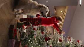 Boy and his loyal dog decorate Christmas tree with vibrant red balls preparing for joyous New Year celebration. Magical spirit of holidays fills cozy home with anticipation and joy. Cinematic vertical - Powered by Shutterstock - Get 15% off with code: PIKWIZARD15