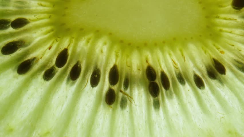 Macro shot of fresh juicy green kiwi slice moving against skylight, showing flesh and seeds with watery texture structure of fruit visible under light.