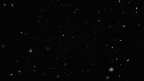 Winter snowfall. Dust Particles. Natural Floating Organic Particles On Black Background. Glittering Particles With Bokeh. Slow motion. Falling snowflakes matte slow. Christmas day, xmas. 4K. - Powered by Shutterstock - Get 15% off with code: PIKWIZARD15